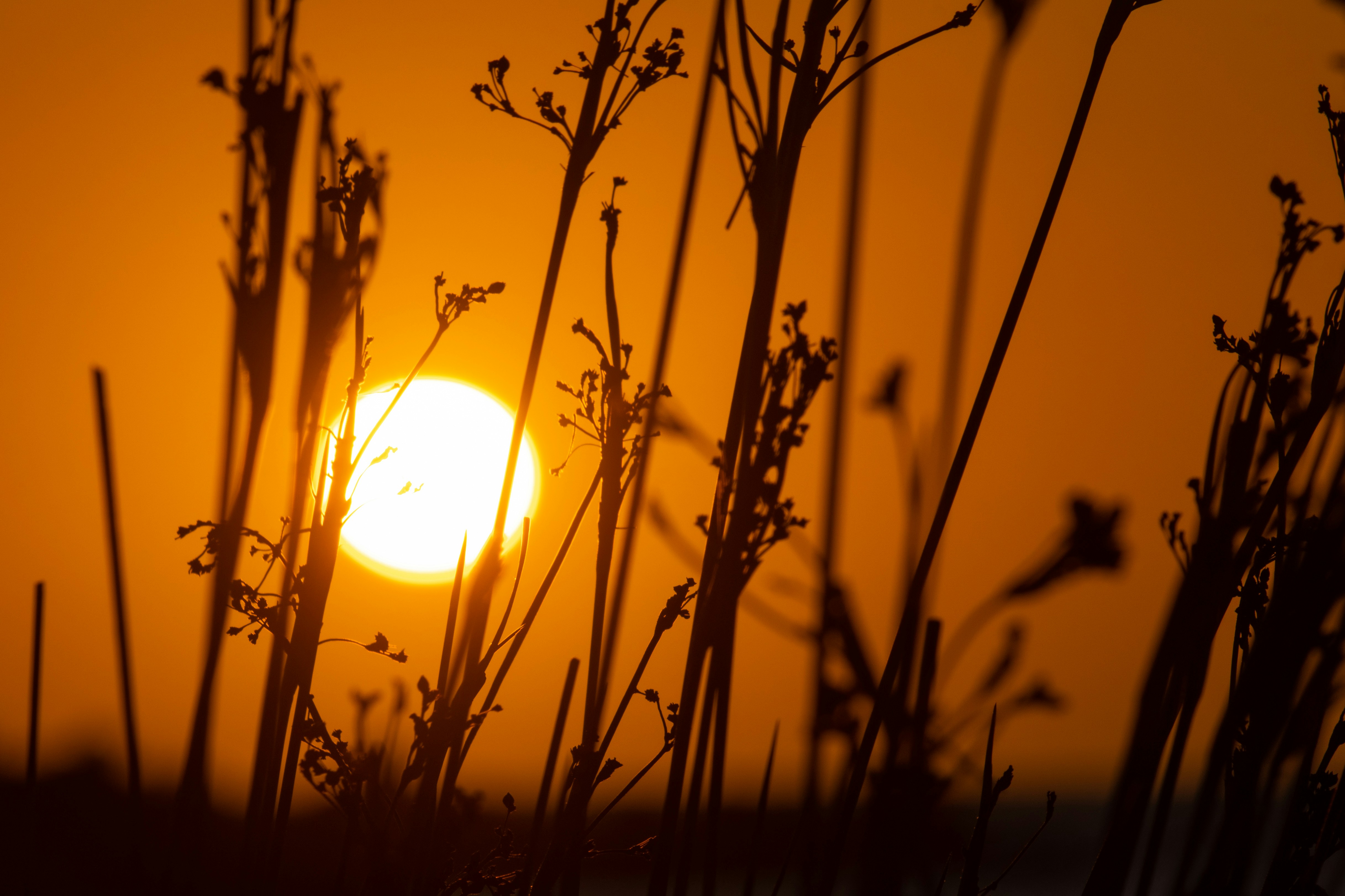 Photo by sonianadales