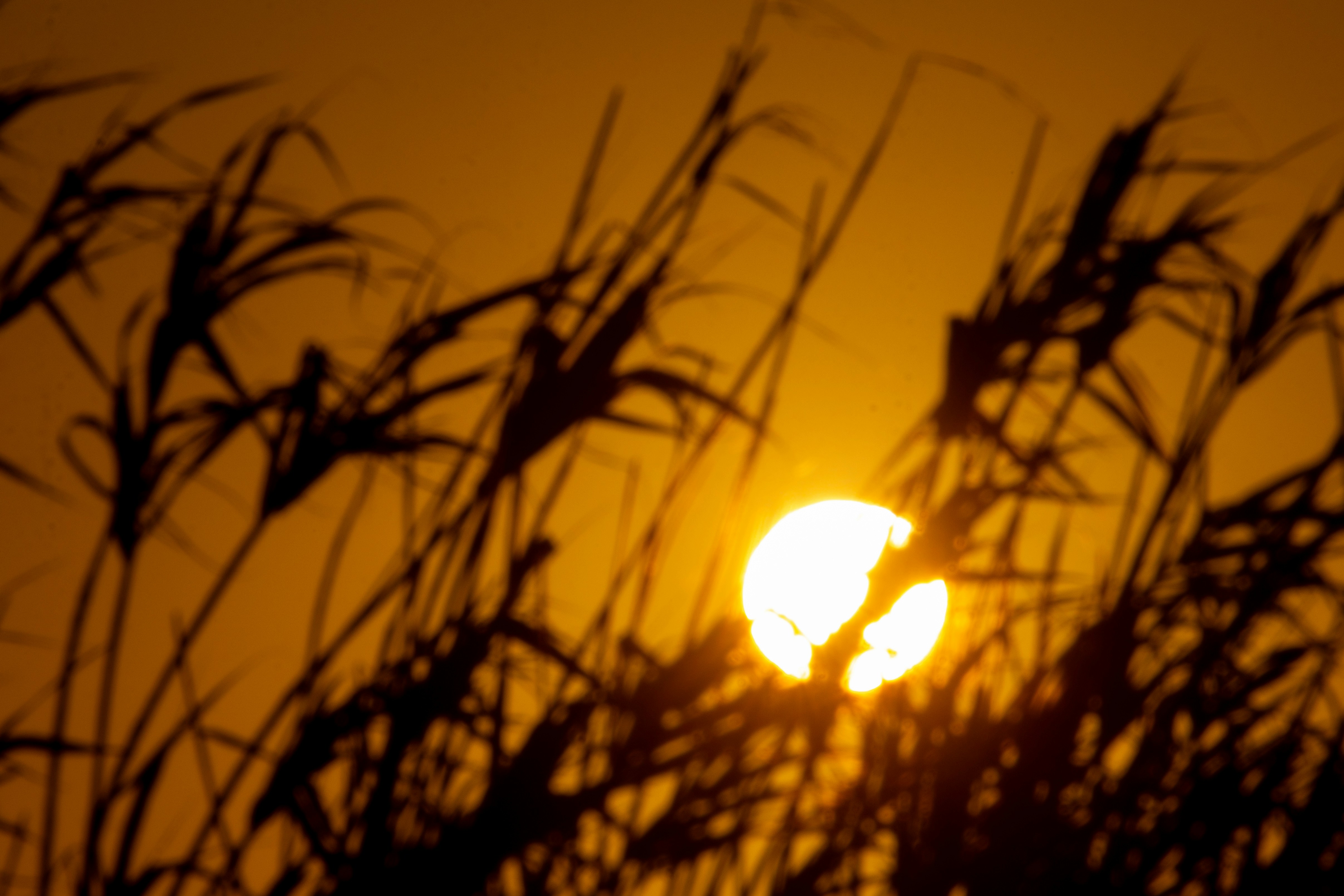 Photo by sonianadales