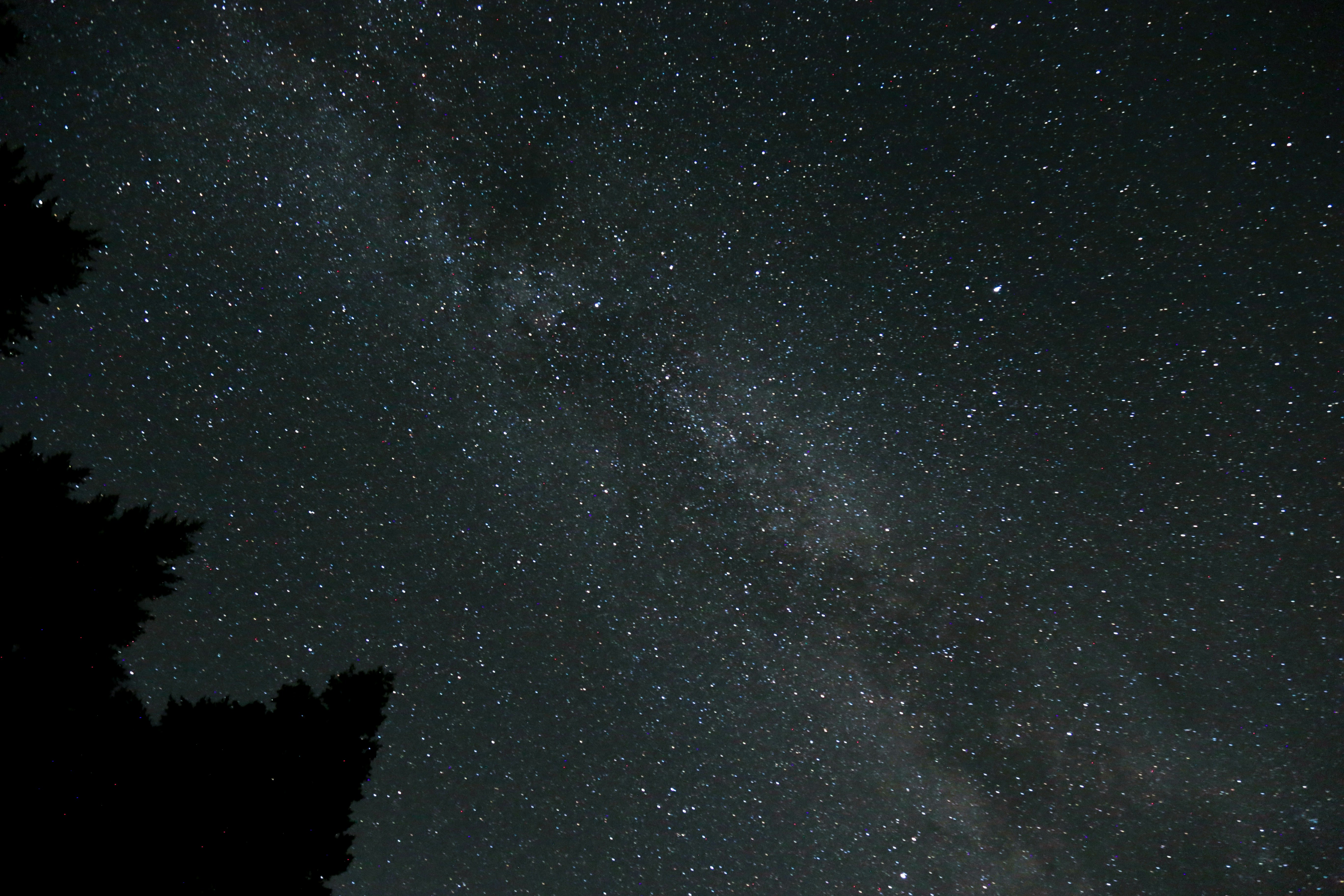 Photo by kiril_aglichev