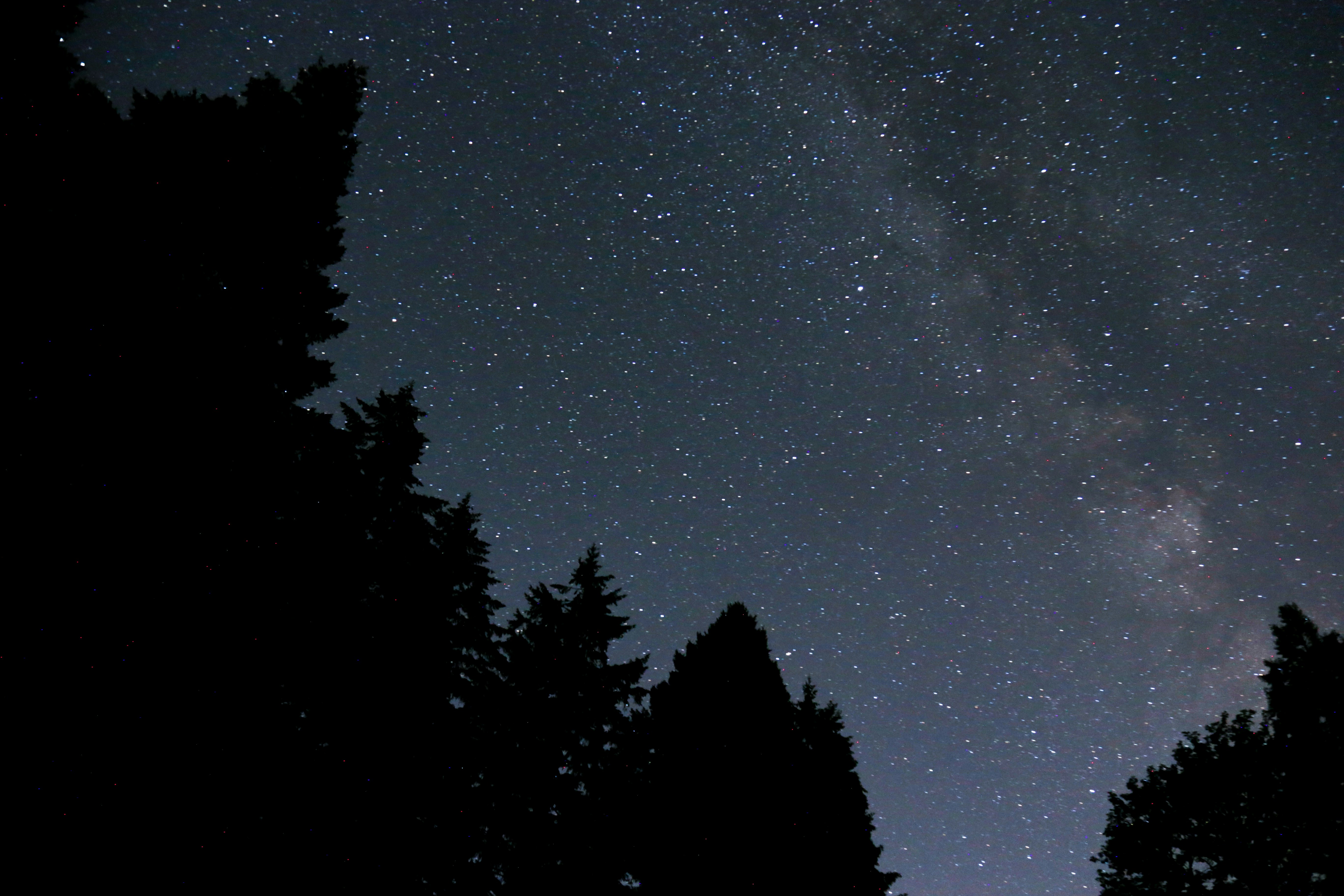 Photo by kiril_aglichev