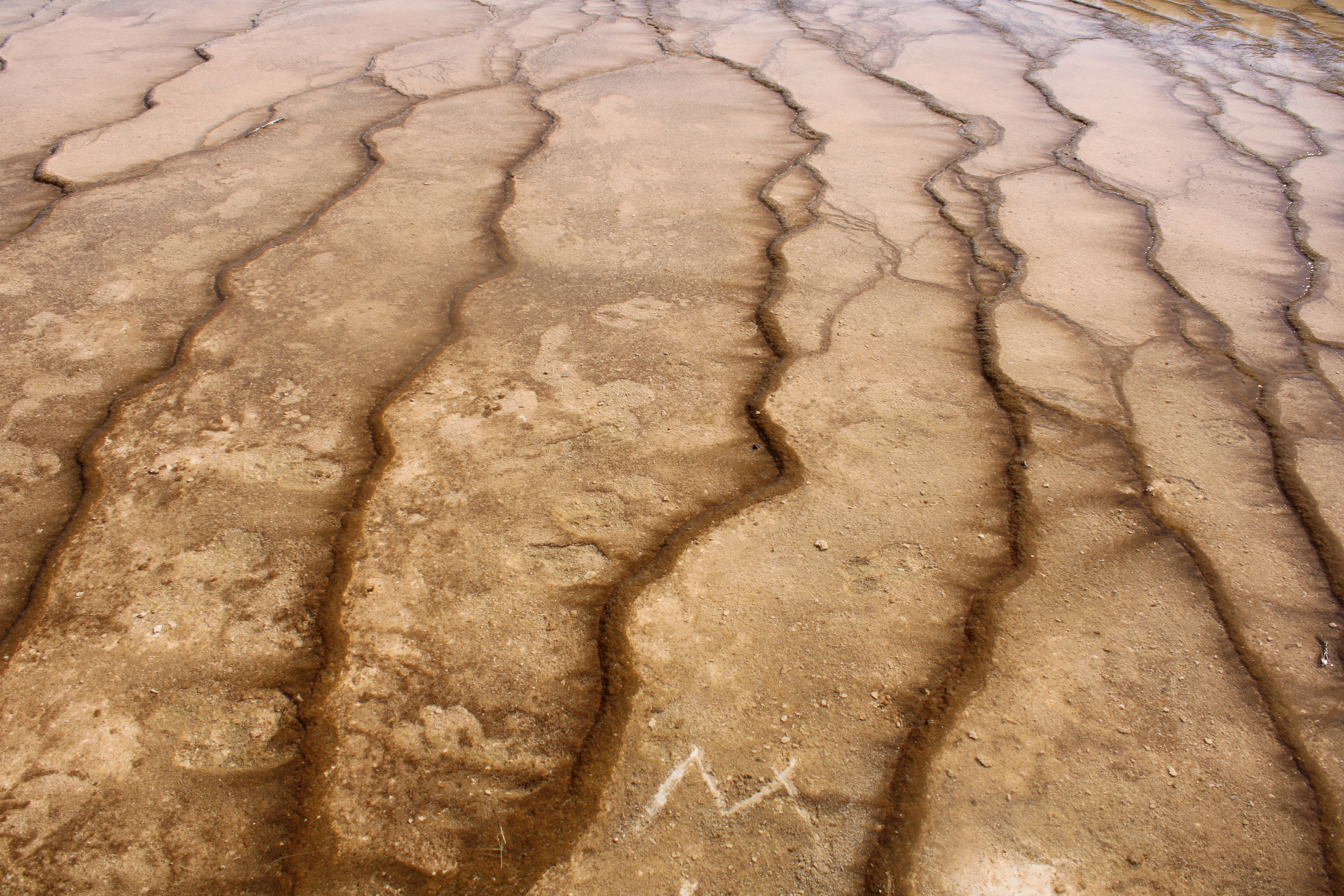 Photo by aishwaryagunde