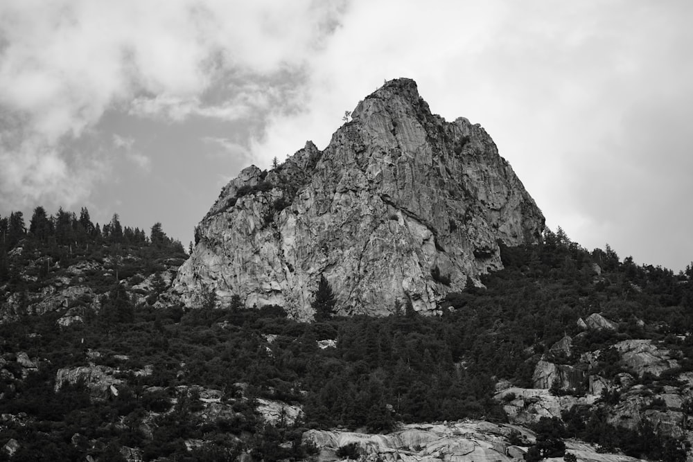 a rocky mountain with trees