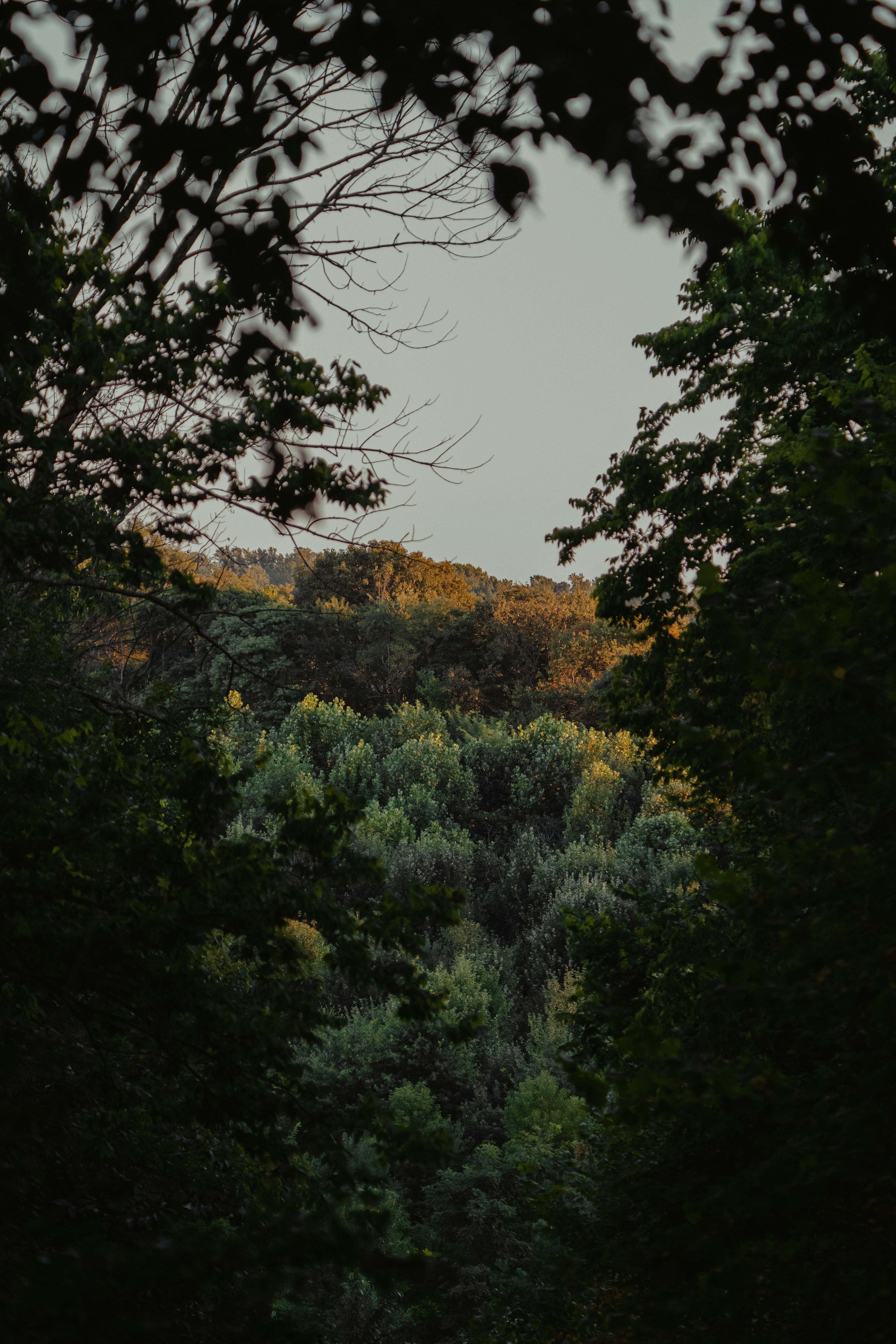 Photo by bgwendler