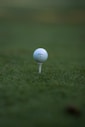 a golf ball on a golf course