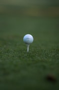SAAG Inc image of a golf ball on a golf course
