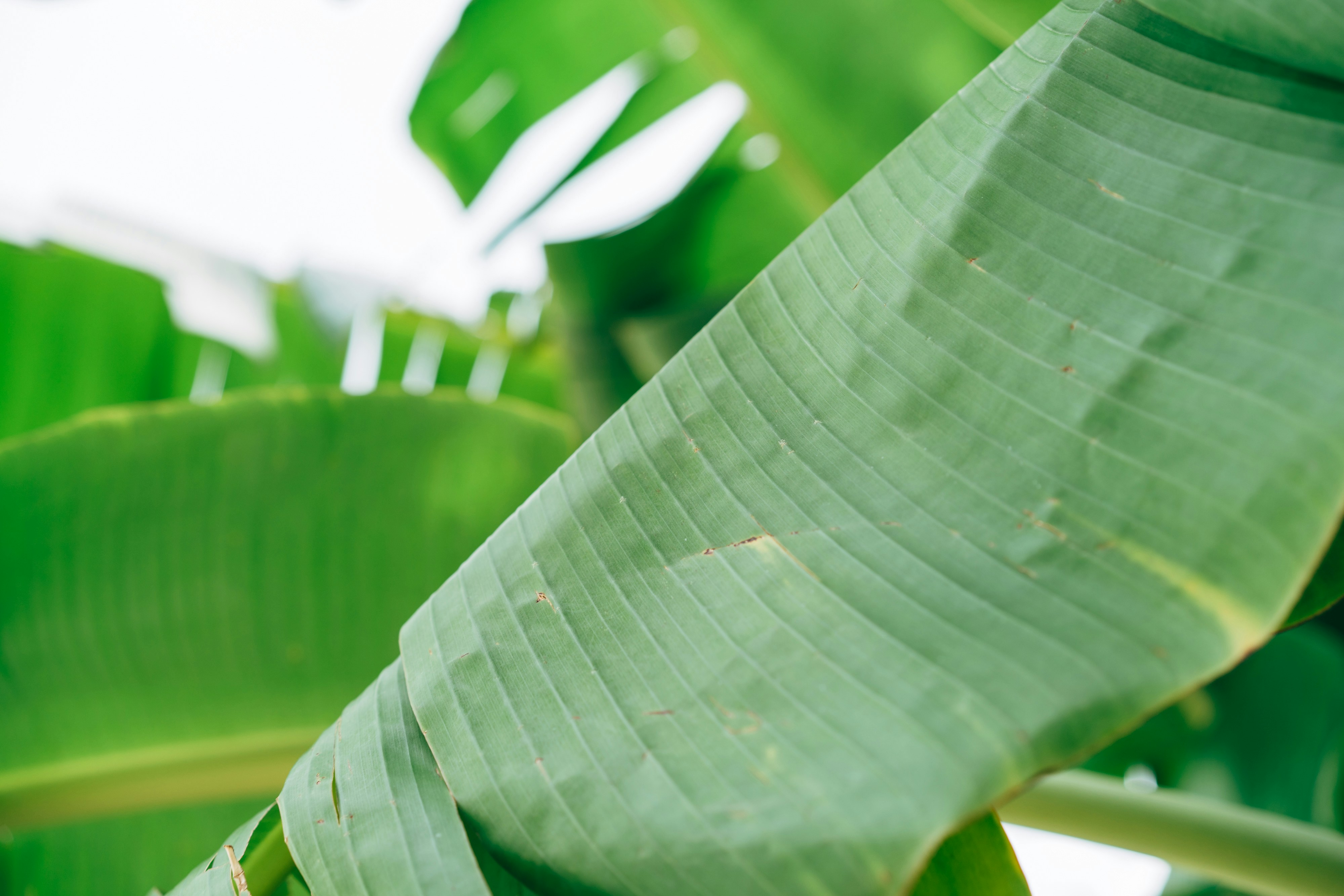 Photo by markuswinkler