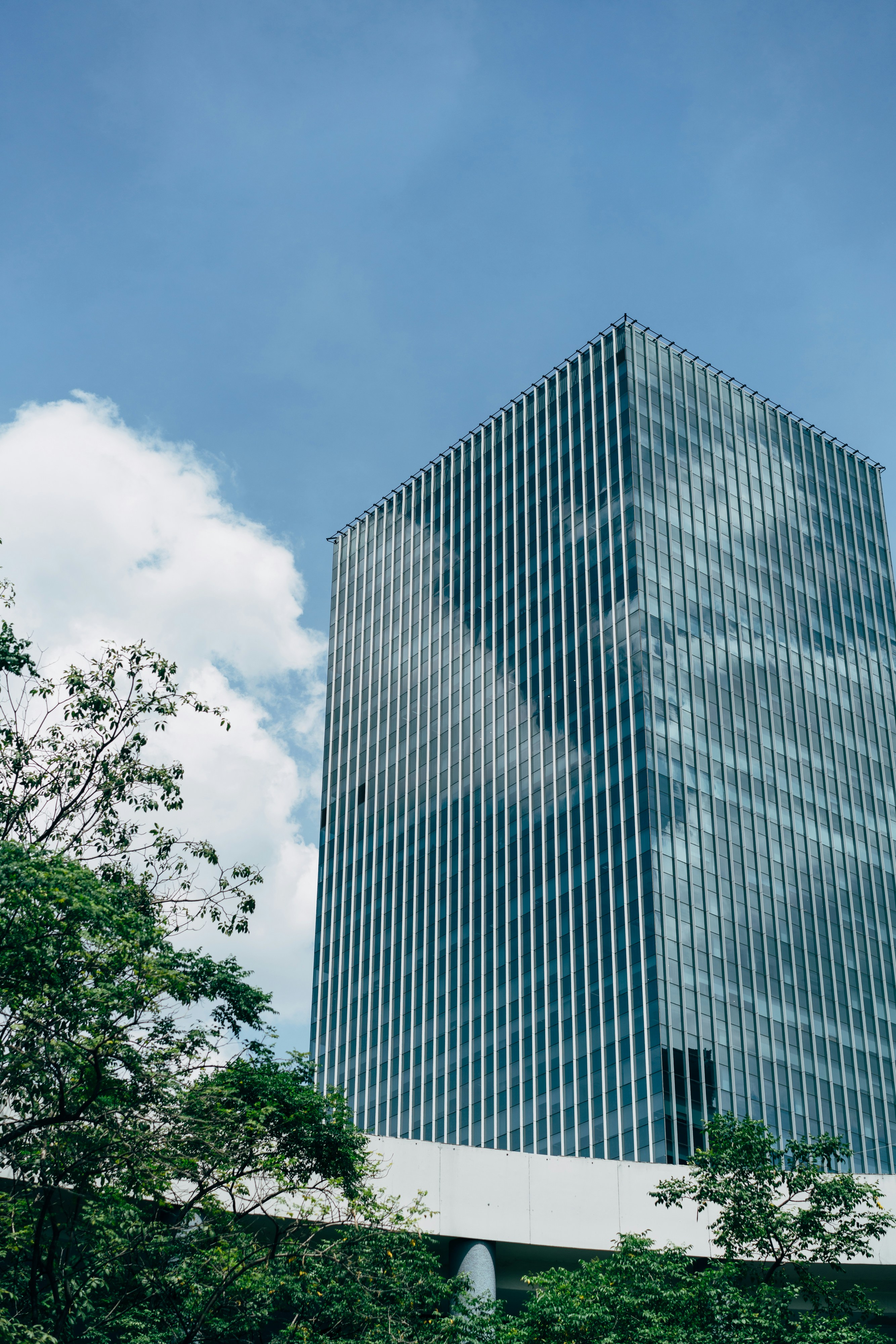 Photo by markuswinkler