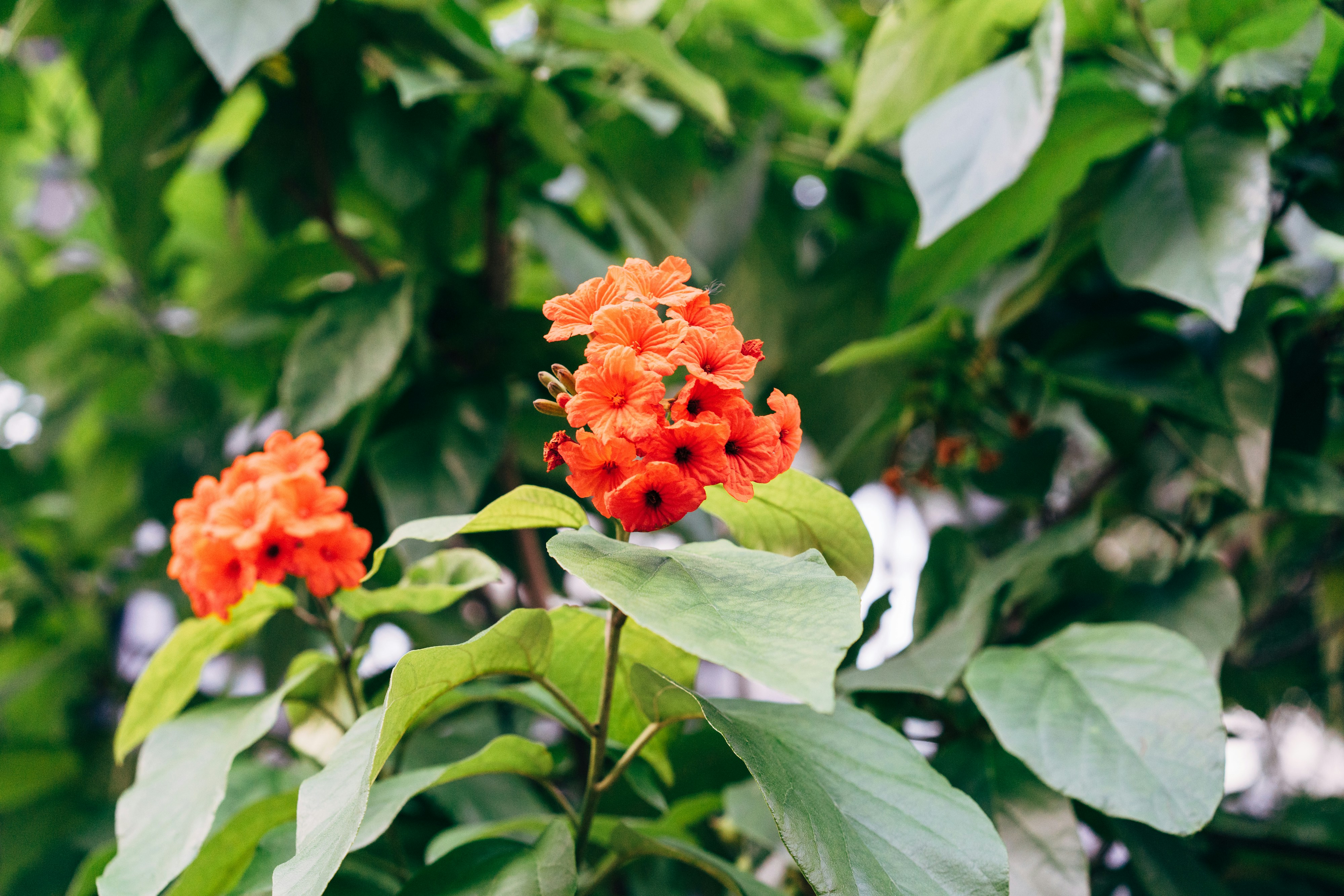 Photo by markuswinkler