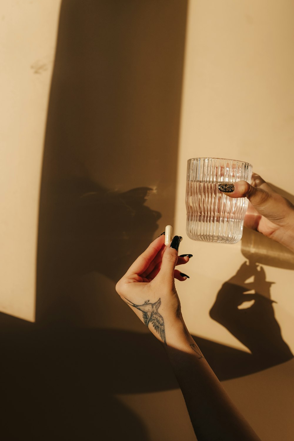 a person holding a glass of water