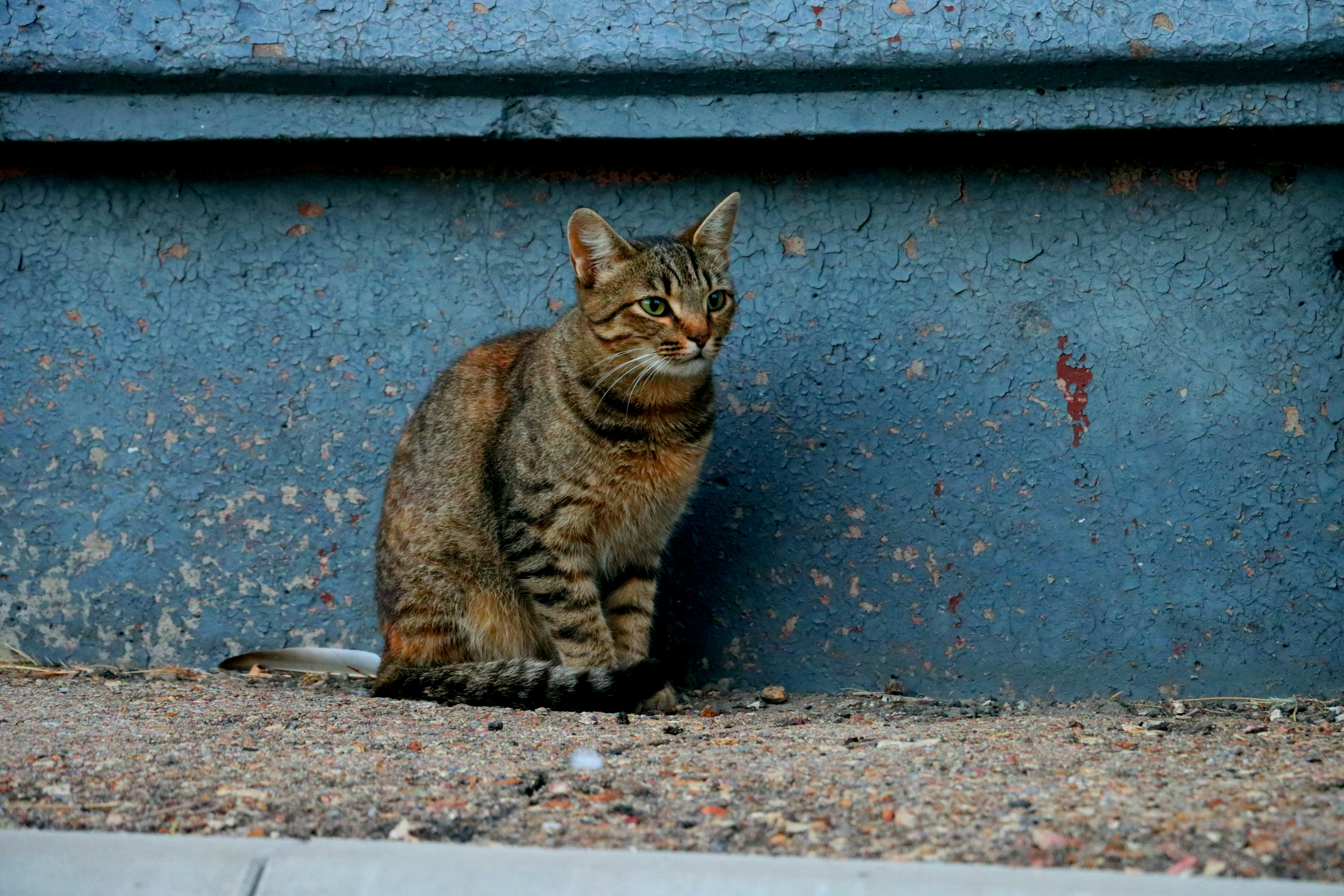 Photo by irina_chishkova