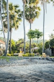 A serene beachside resort with palm trees.