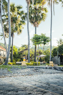 Cozy beachfront rental property with tropical greenery and clear blue sky.