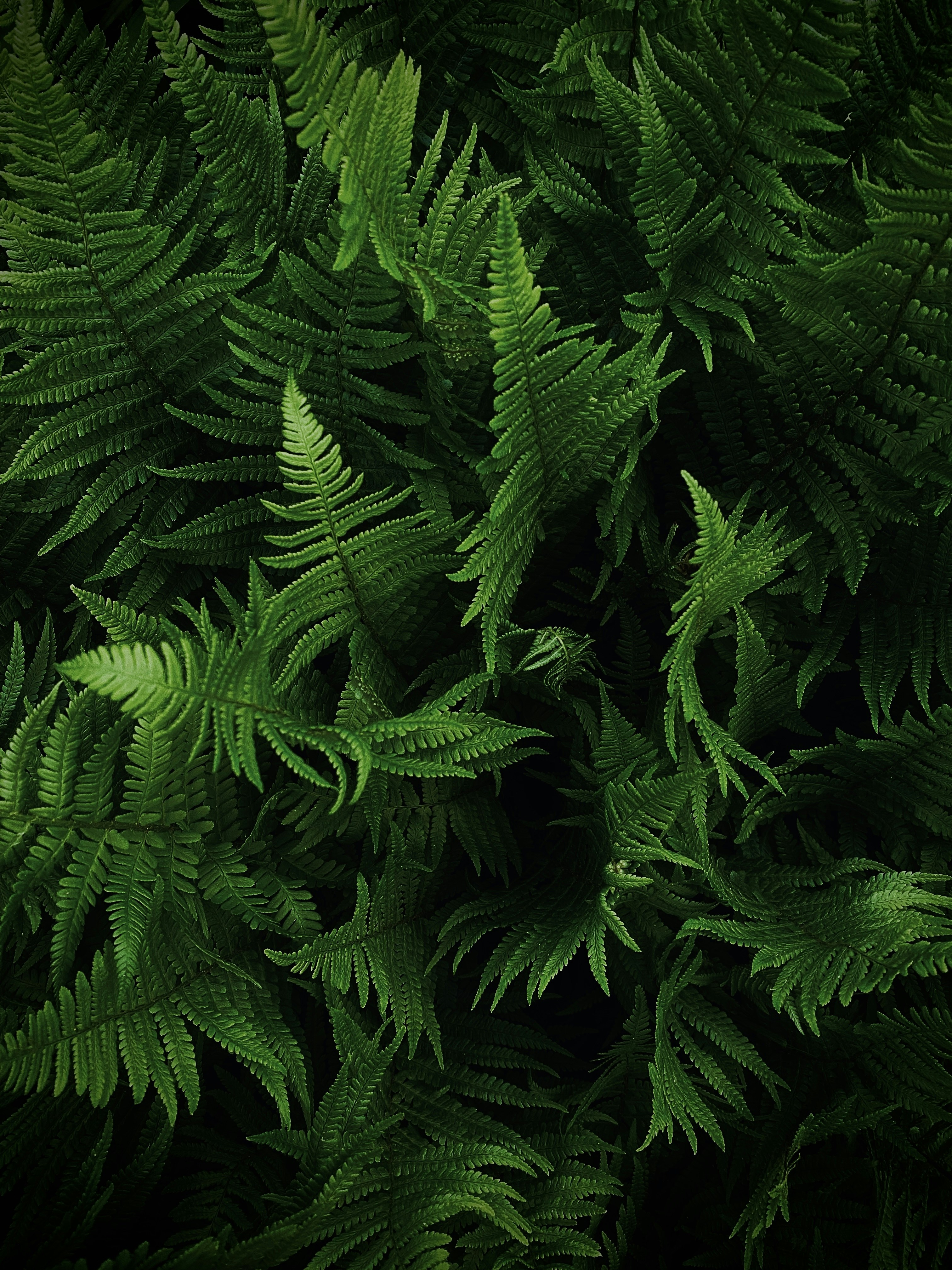 Photo by eugene_golovesov