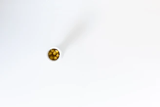 A sleek container of breed-specific supplements arranged on a clean white surface.