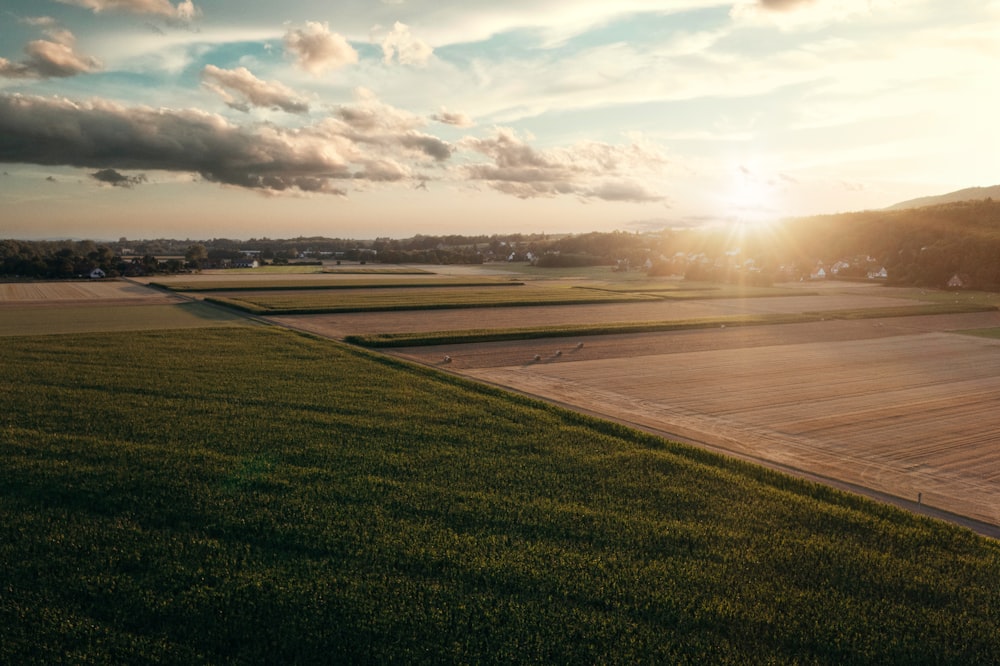 a field of grass and a road