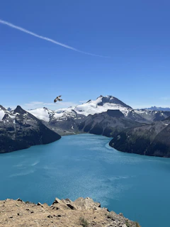 A breathtaking aerial view of Patagonia's rugged mountains and turquoise lakes under a clear blue sky.