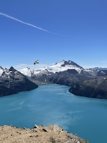 A breathtaking landscape featuring a vast, turquoise lake surrounded by majestic snow-capped mountains under a clear blue sky. A bird soars gracefully in the foreground, adding a dynamic element to the serene and expansive view.