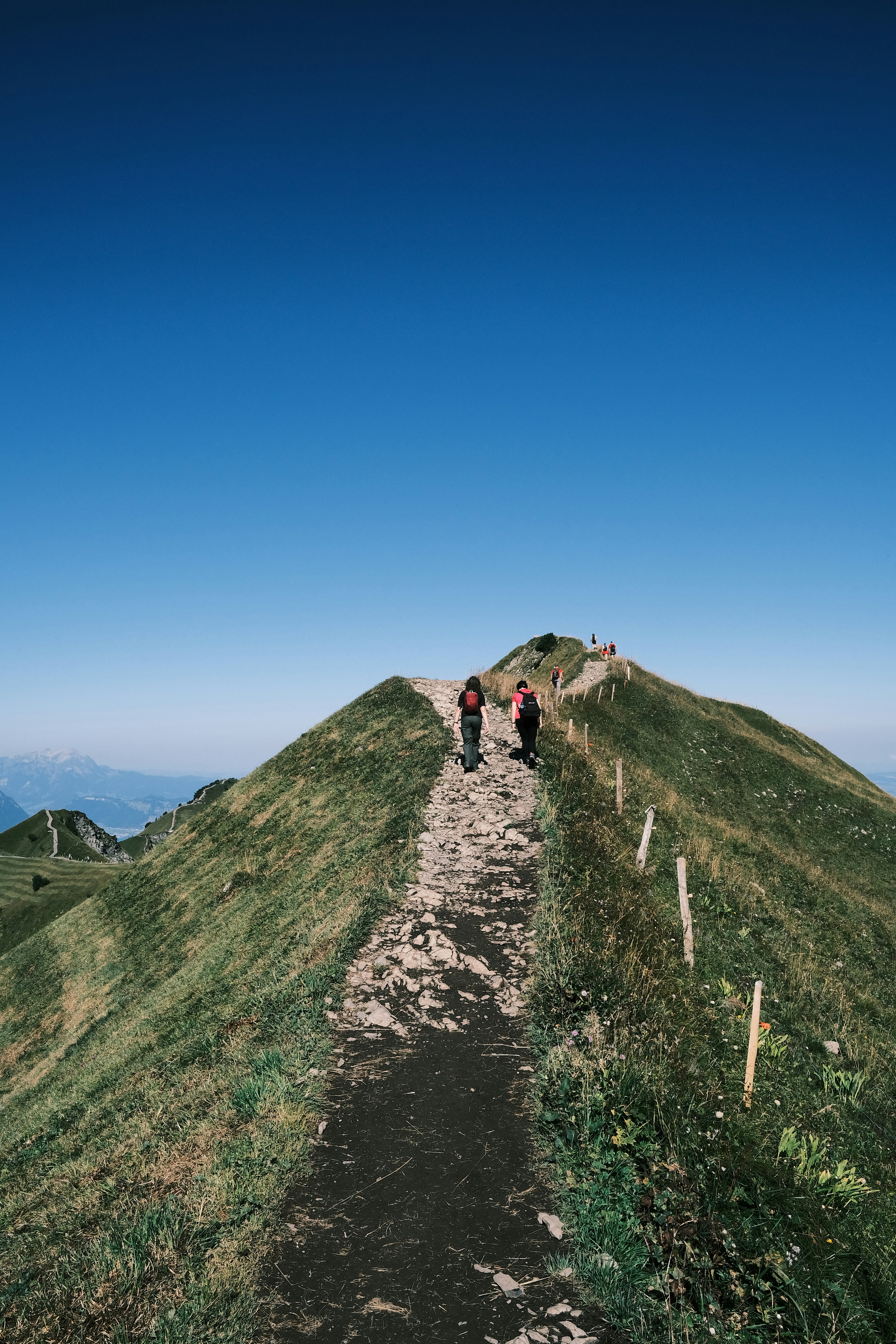 Un gruppo di persone che camminano su un sentiero sterrato in una zona erbosa
