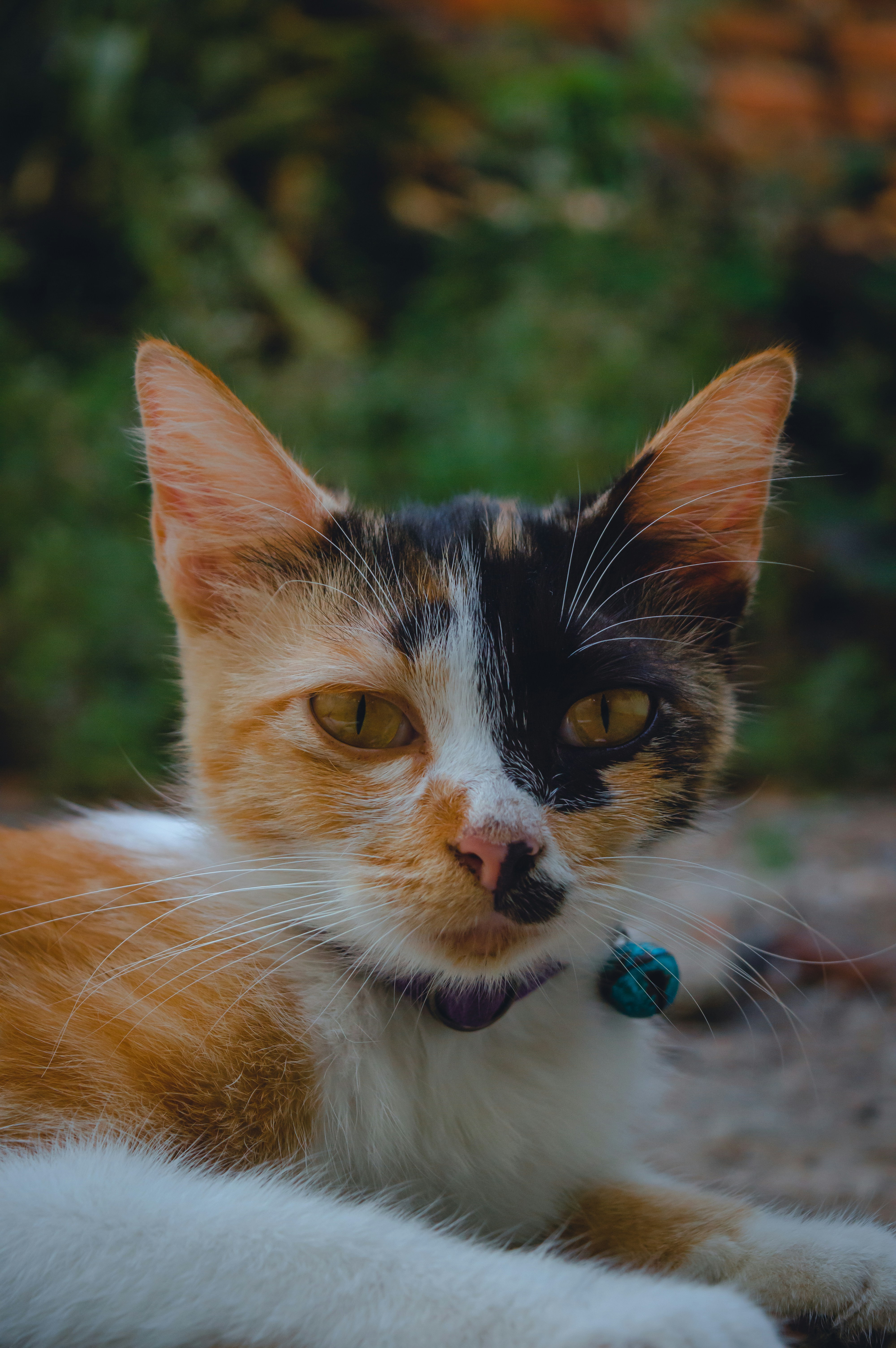 Photo by muhammadriz__