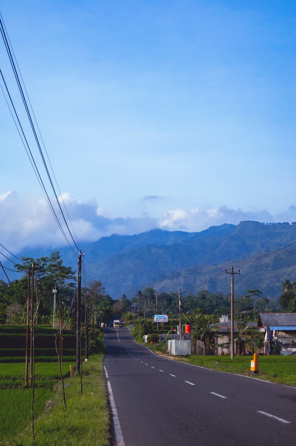 a road with power lines and trees on the side