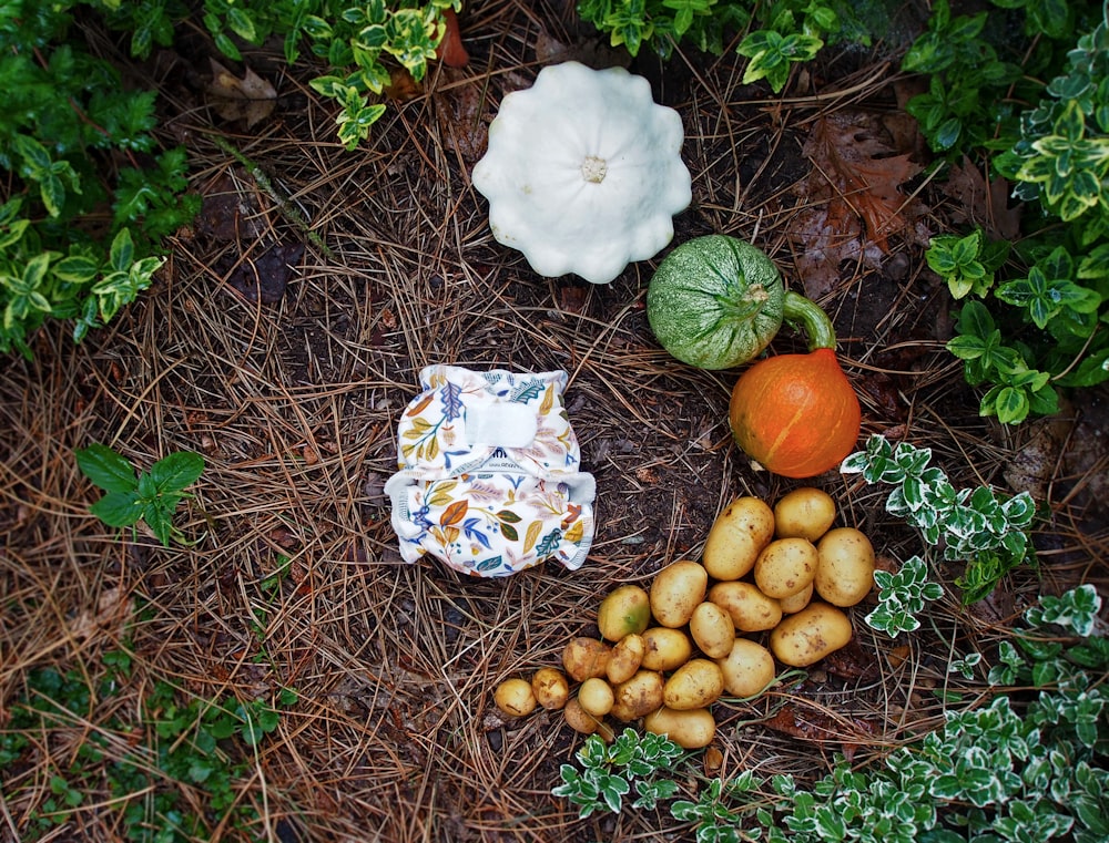 a basket of fruit and vegetables