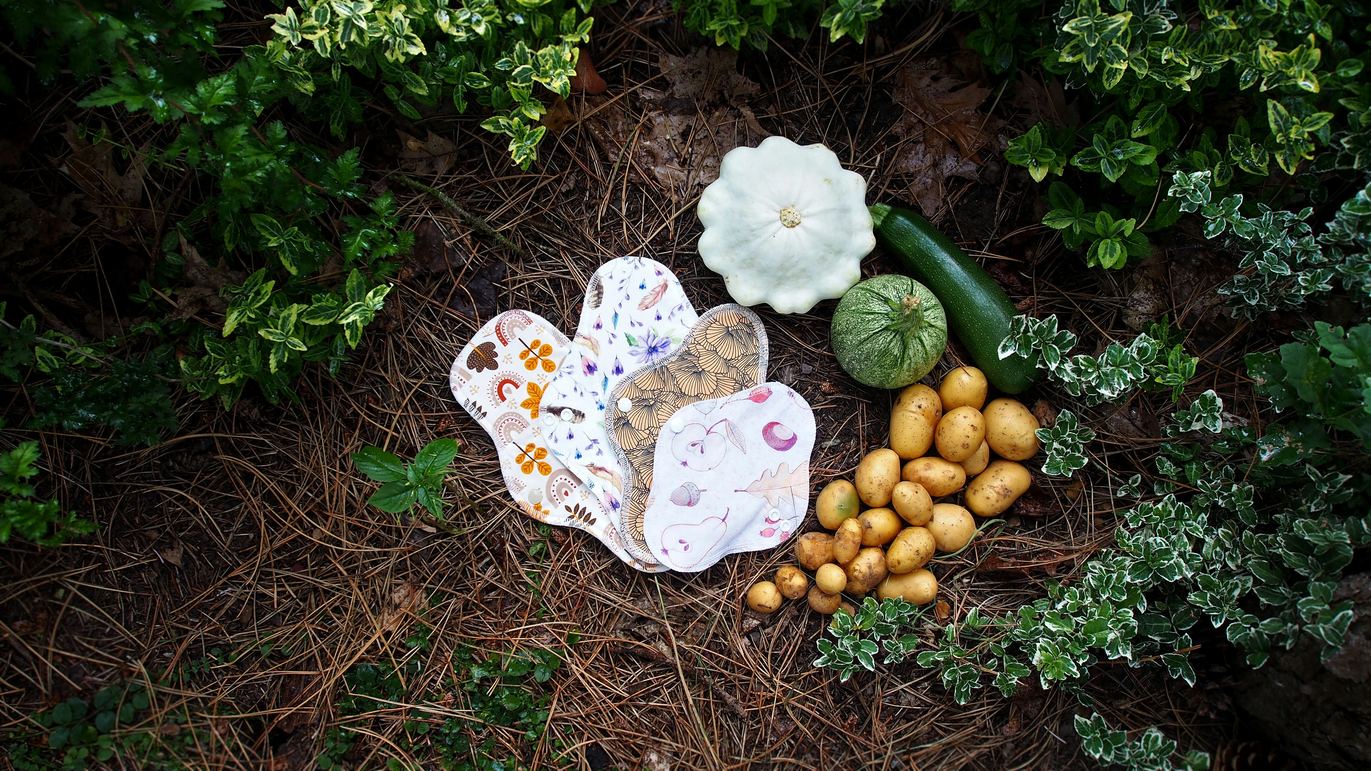 a butterfly on a flower