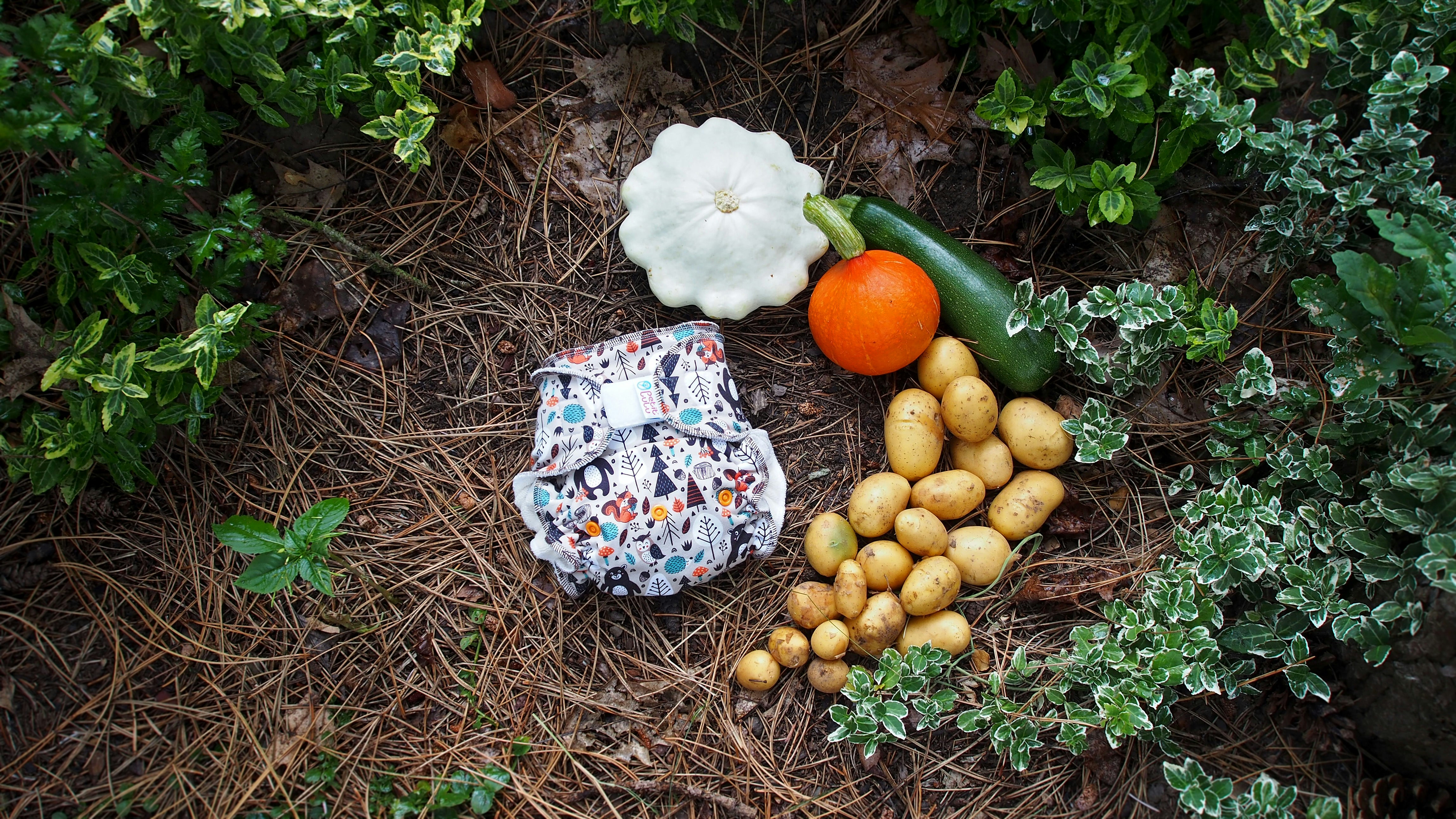a basket of eggs and a flower