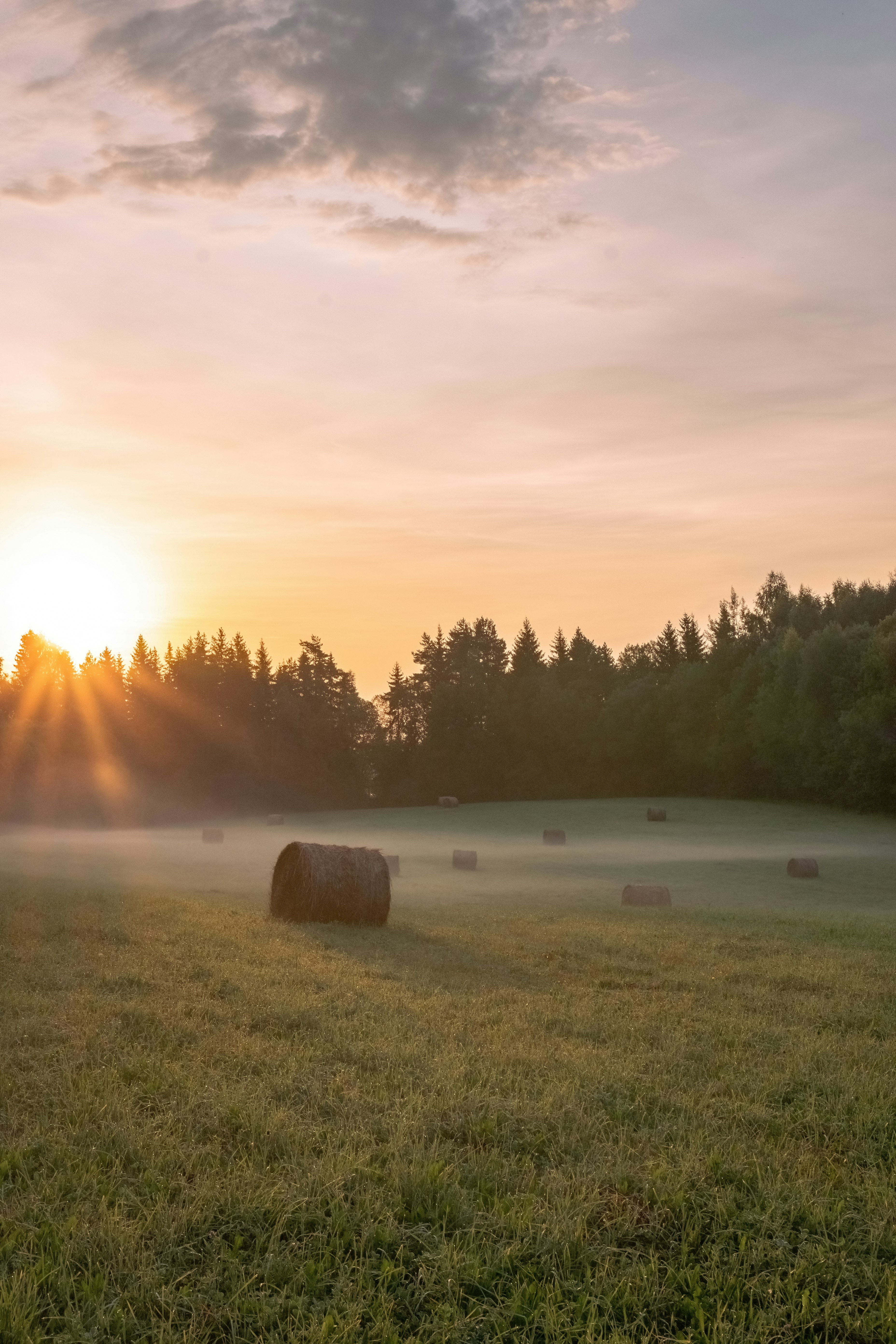 Photo by ainarscekuls