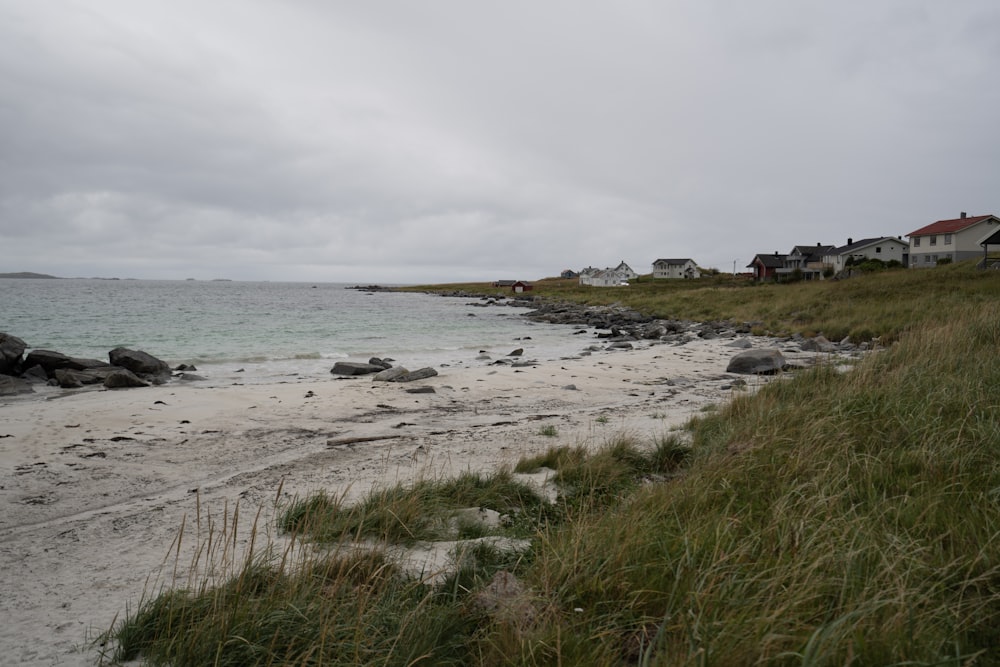 a beach with houses and grass