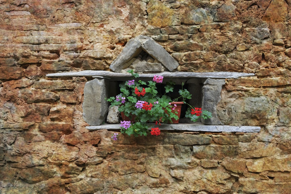 a window with flowers in it