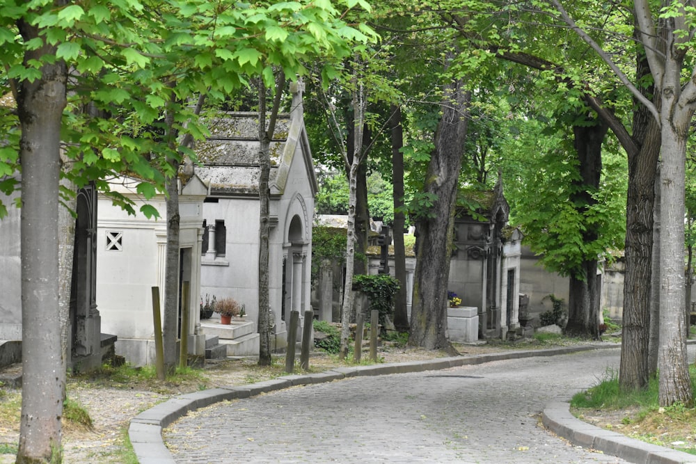 eine Straße mit Bäumen an der Seite