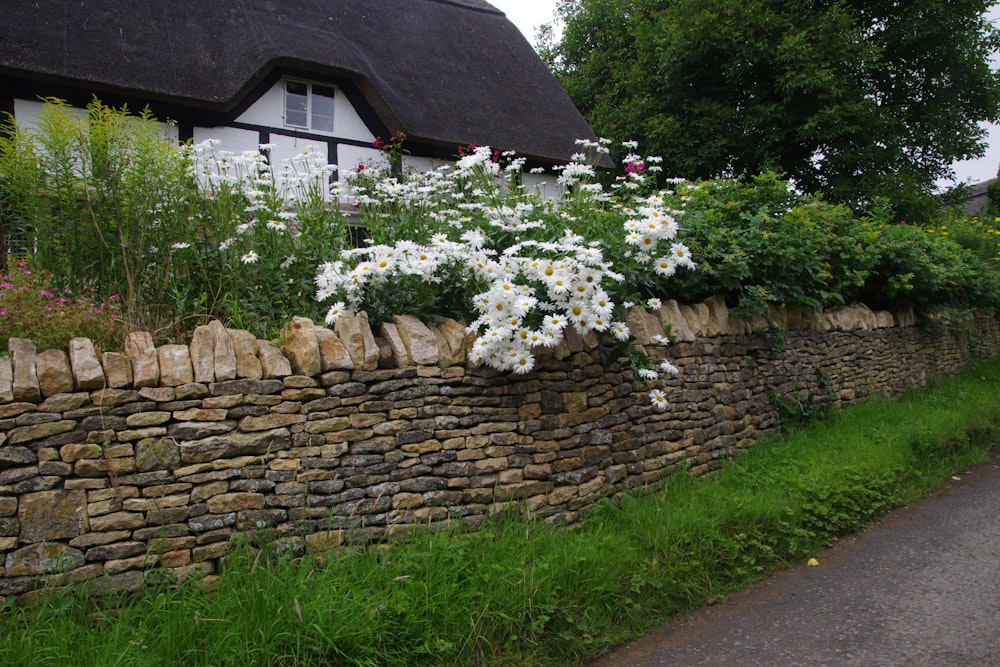 a stone wall with flowers and grass