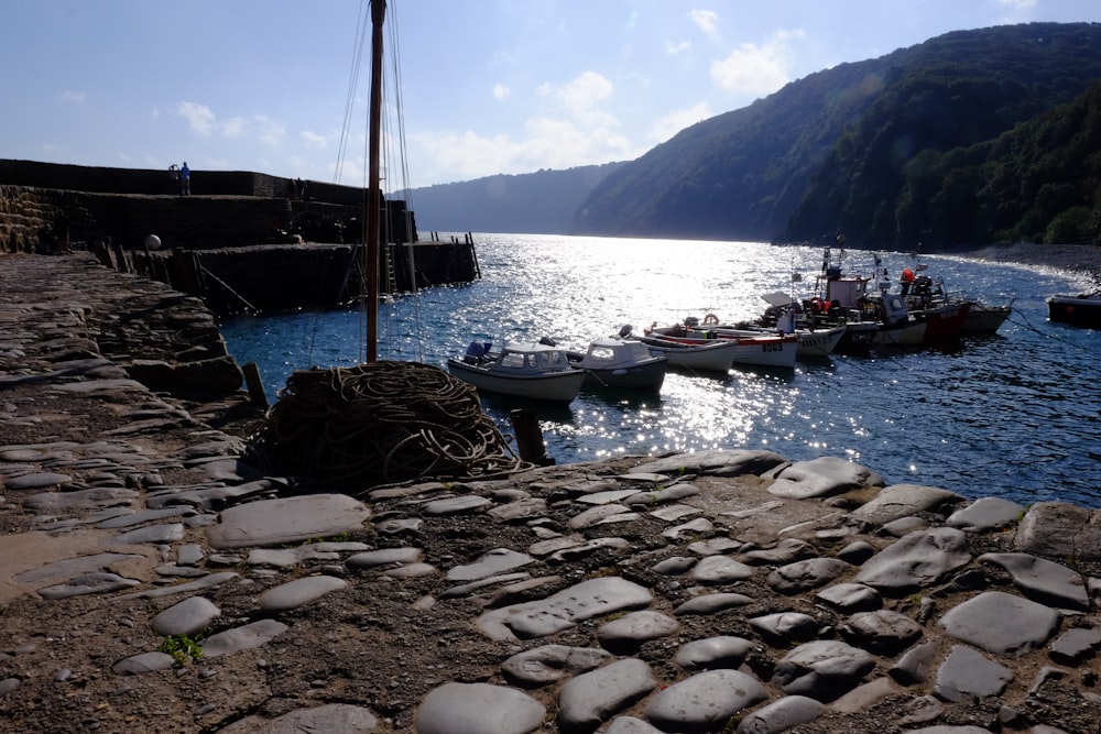 boats docked at a pier