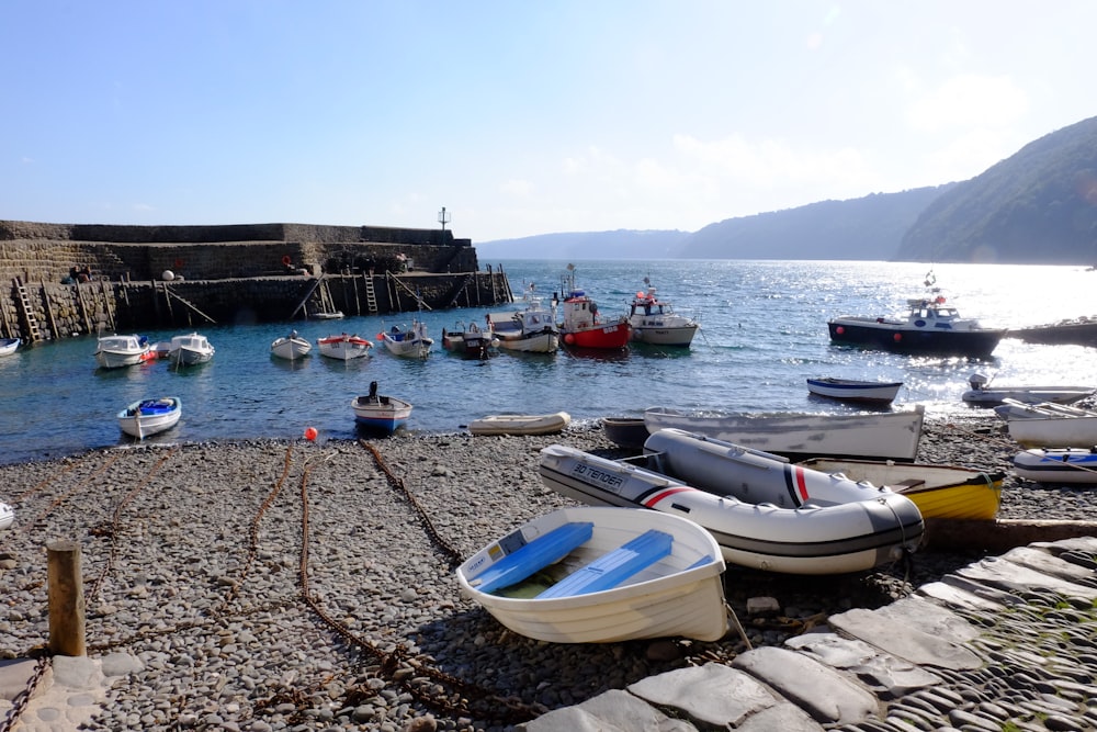 boats on the water