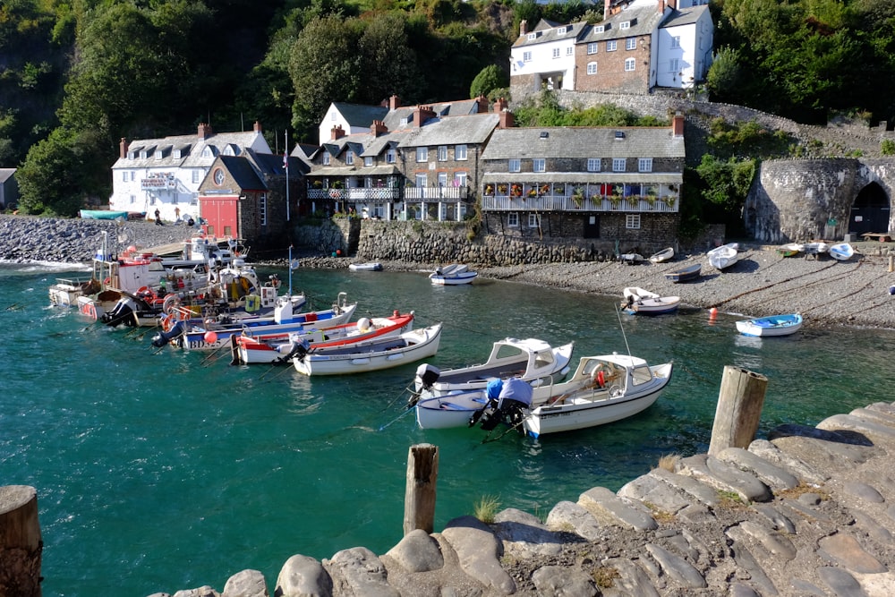 boats in the water