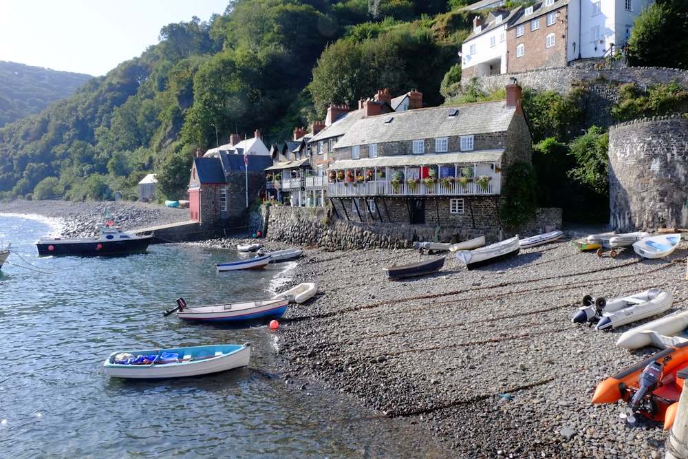 boats in a harbor