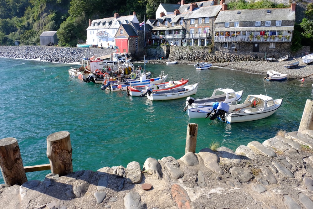 boats in the water