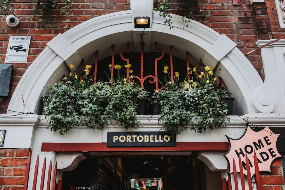 a building with a sign and plants on the windows