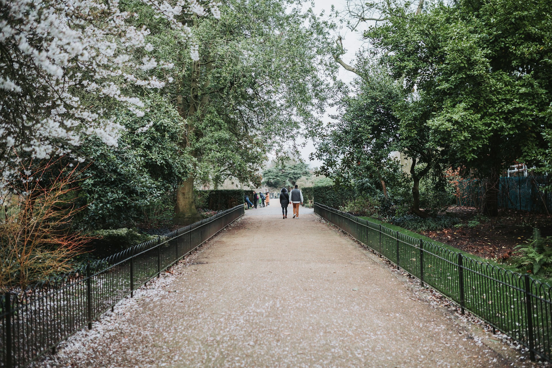 people walking on a path with trees on either side of it