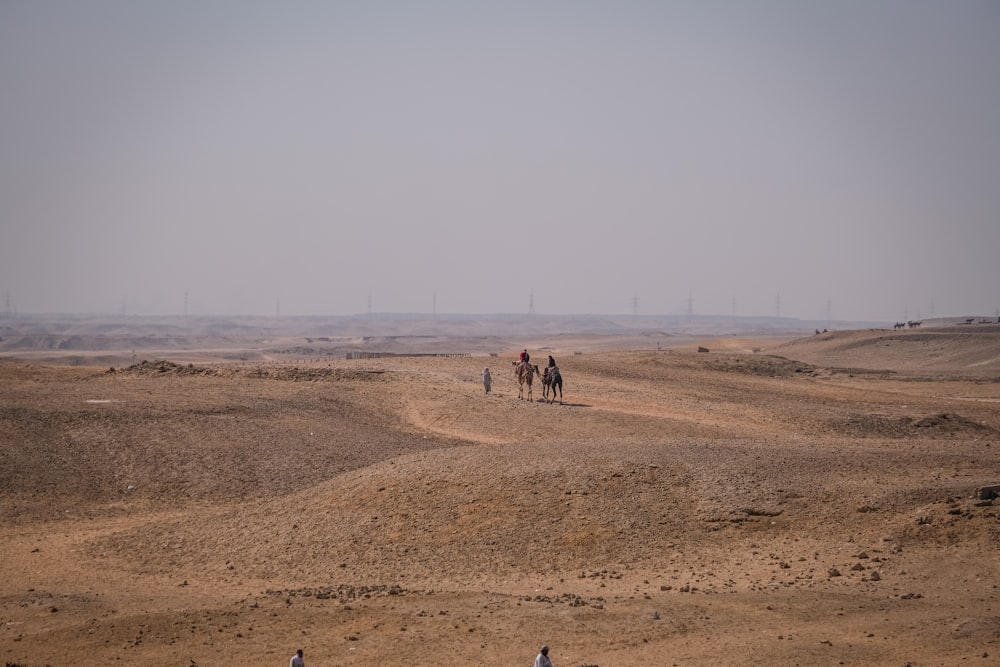 a group of people riding horses in a desert