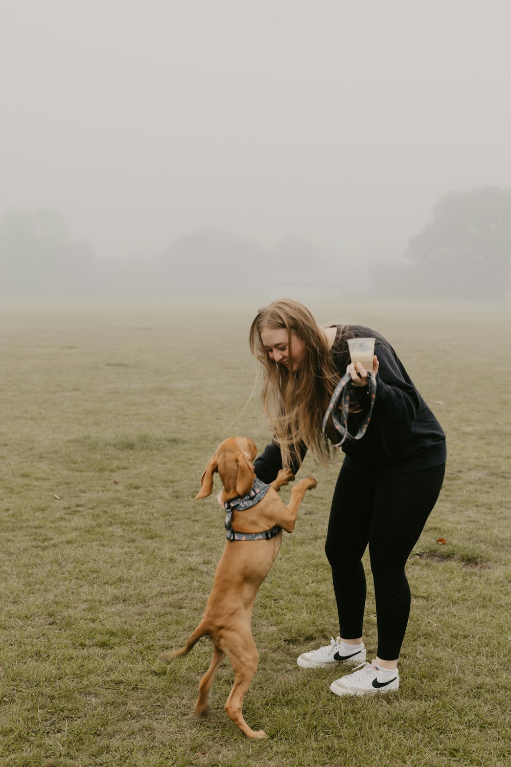 une personne et un chien