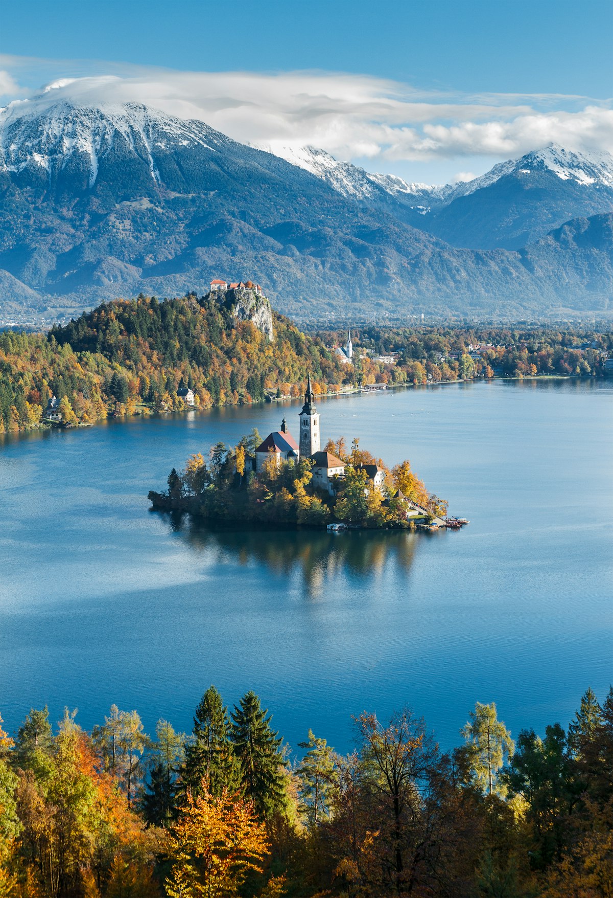 Lake Bled April — pink cherry blossoms framing the island church