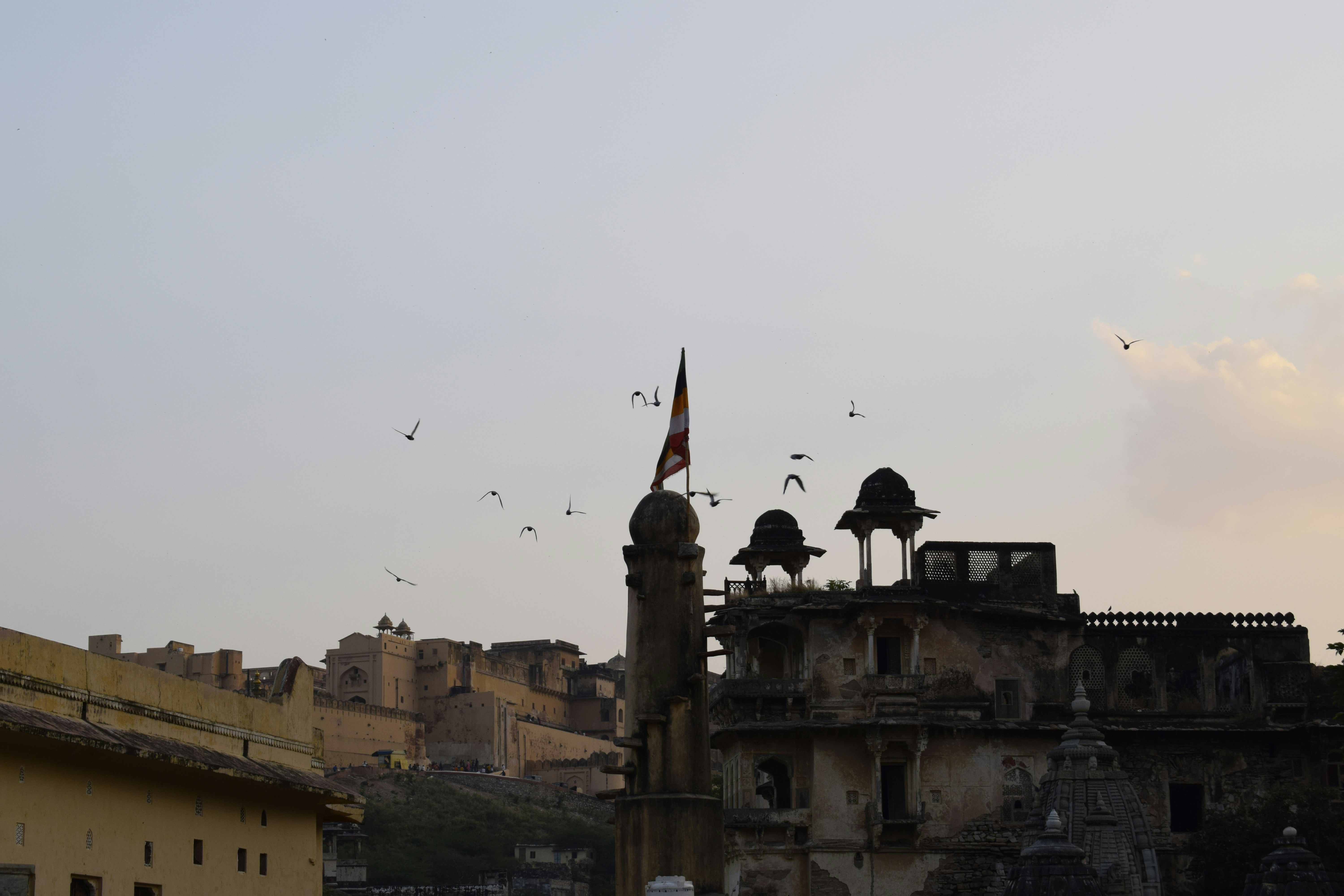 Rajasthan palace at sunset with birds flying