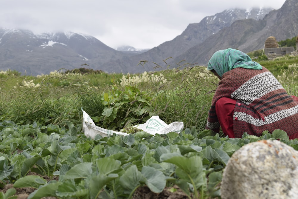 a person in a field of plants