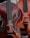Two string instruments, likely a violin and a cello, are positioned side by side. The instruments display a rich, polished wood finish with intricate curves and dark fingerboards. The reflections on the surface create a glossy appearance, highlighting their craftsmanship.