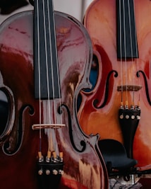Two string instruments, likely a violin and a cello, are positioned side by side. The instruments display a rich, polished wood finish with intricate curves and dark fingerboards. The reflections on the surface create a glossy appearance, highlighting their craftsmanship.