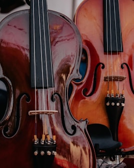 Two string instruments, likely a violin and a cello, are positioned side by side. The instruments display a rich, polished wood finish with intricate curves and dark fingerboards. The reflections on the surface create a glossy appearance, highlighting their craftsmanship.
