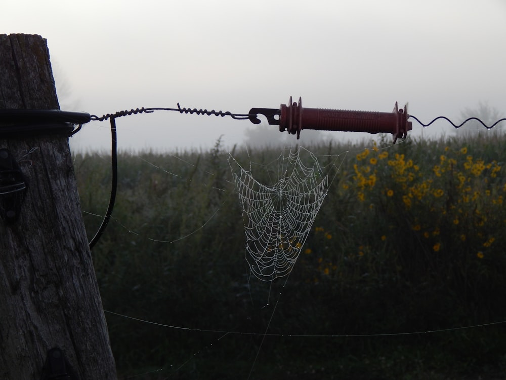 a fishing net on a pole