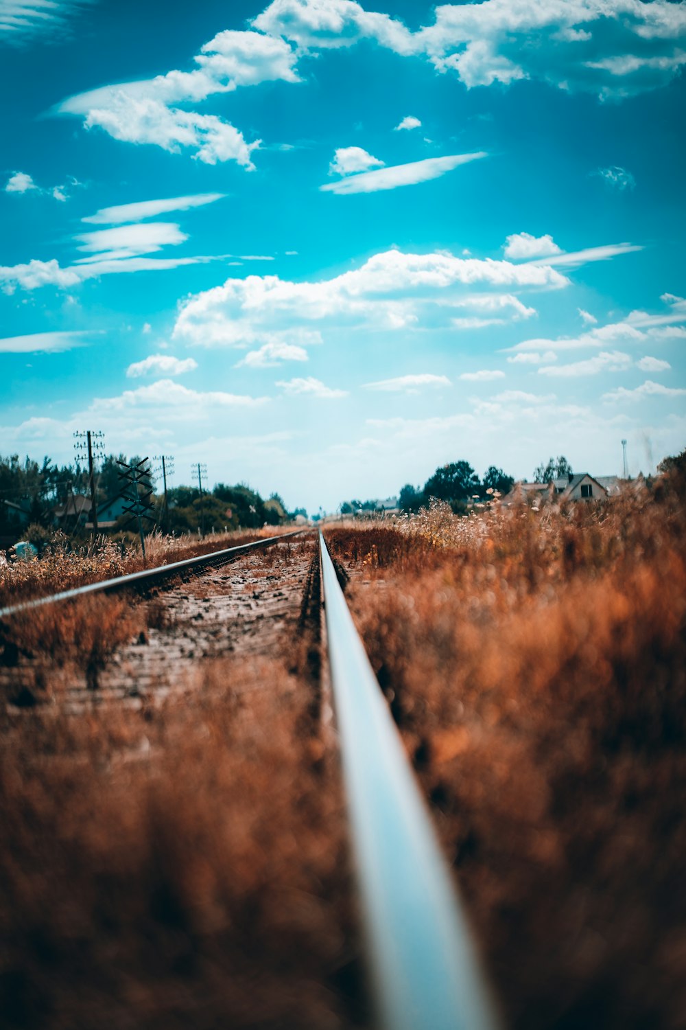 Vías de tren en un campo