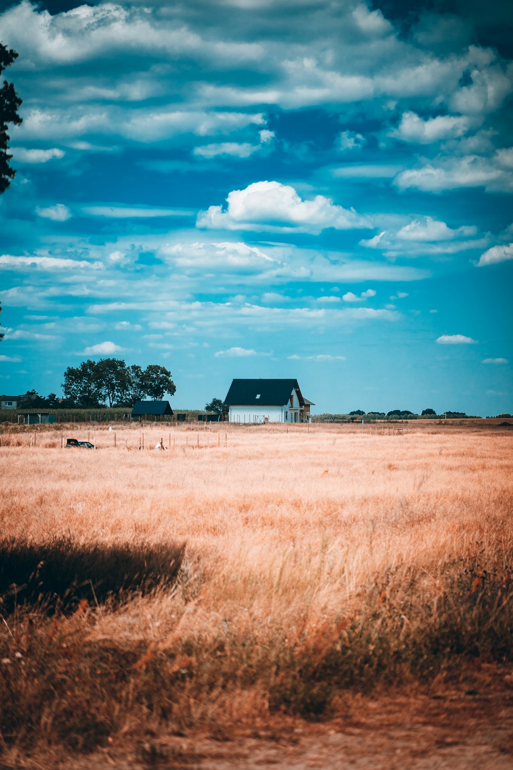 a field with a house in the background